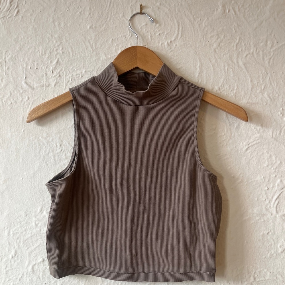 Everlane Taupe Turtleneck Crop Top